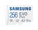 Samsung EVO PLUS (Blue Wave) 160MB/sec 256GB
