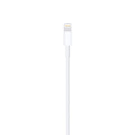 Apple Lightning to USB Cable (1 m) '24
