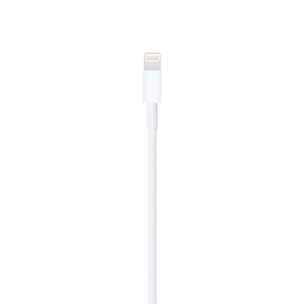 Apple Lightning to USB Cable (1 m) '24