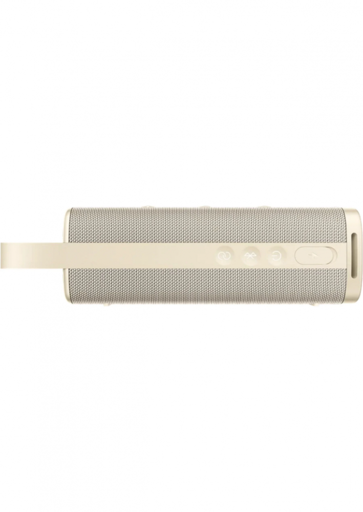 Xiaomi Sound Outdoor 30W BT hangszóró, arany QBH4270
